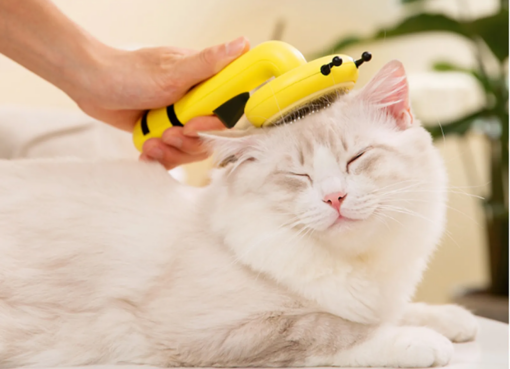 How to Use the Little Bee Pet Needle Comb for Effective Hair Removal